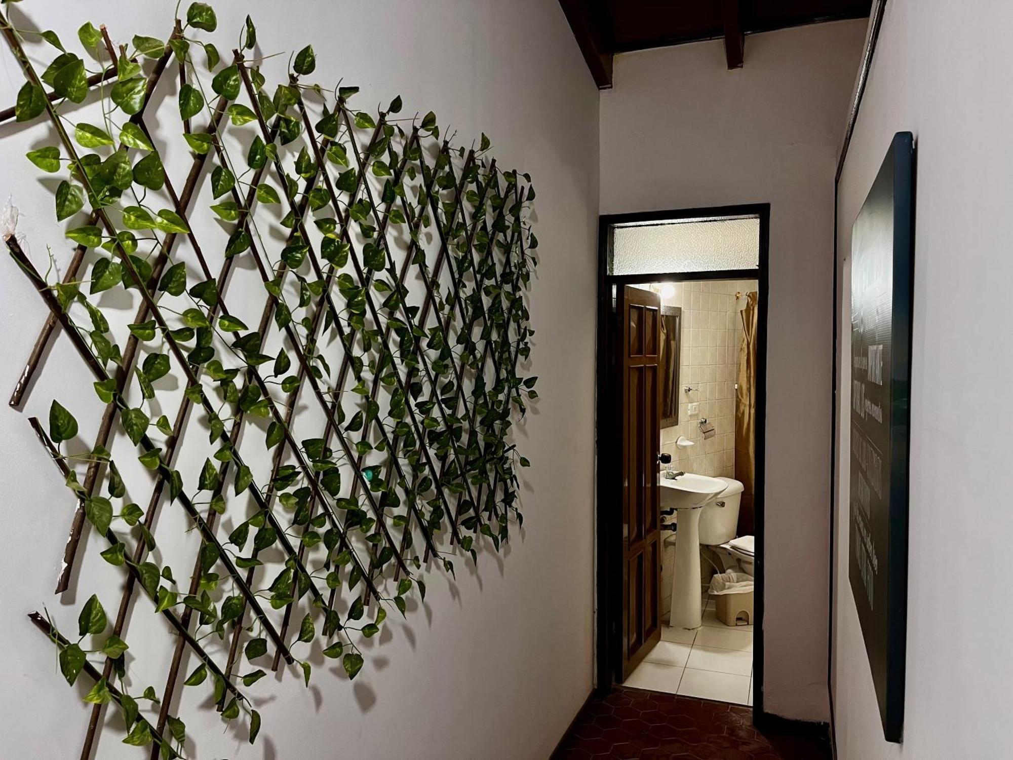 The Chill In Mansion Hostel Santa Marta エクステリア 写真