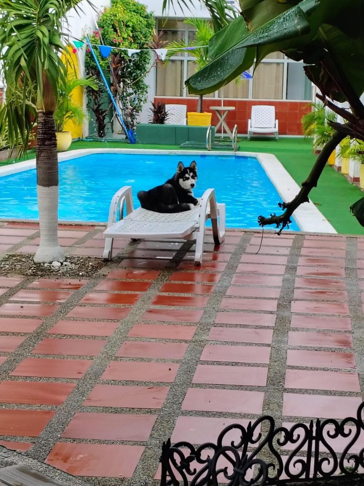 The Chill In Mansion Hostel Santa Marta エクステリア 写真